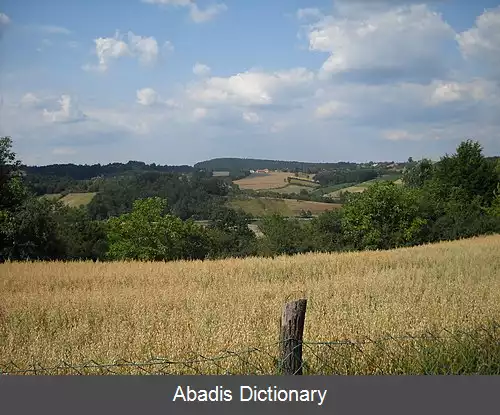 عکس لوچوتسی