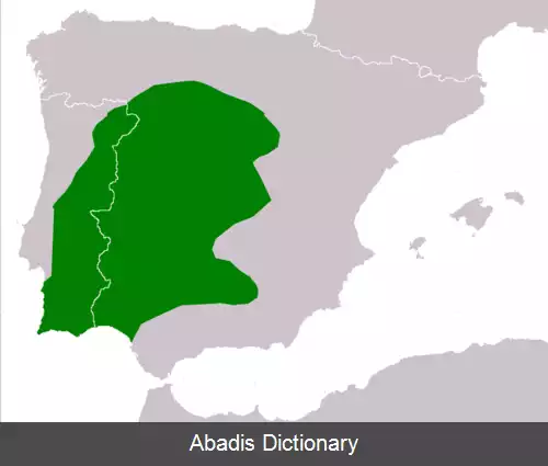 عکس وزغ مامای ایبری