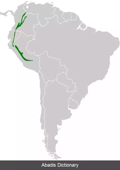 عکس فرخنده رخ آتشی