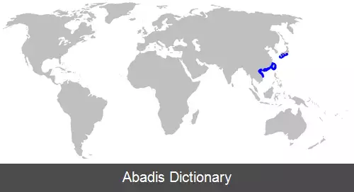 عکس کوسه راسویی راست دندان