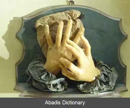 عکس آنا موراندی مانزولینی