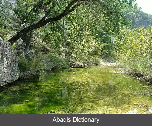 عکس منطقه طبیعی ایالتی افرای گمشده