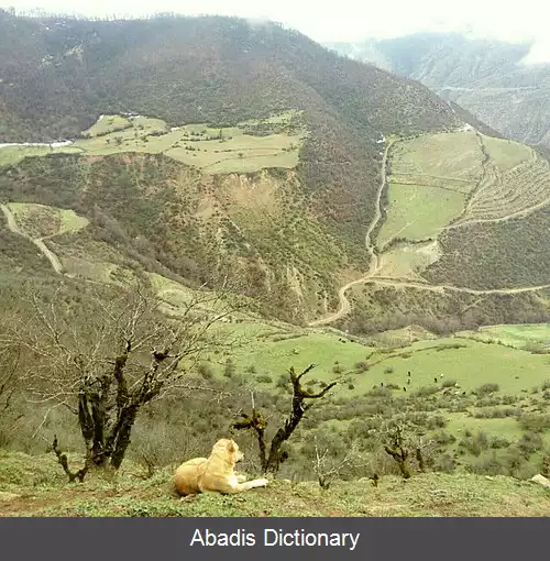 عکس شیردره (سوادکوه)