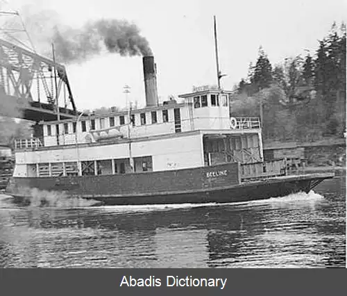 عکس فلورانس کی