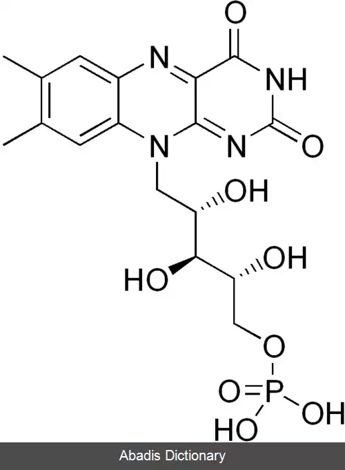 عکس فلاوین مونونوکلئوتید