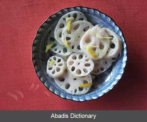 عکس رنکن