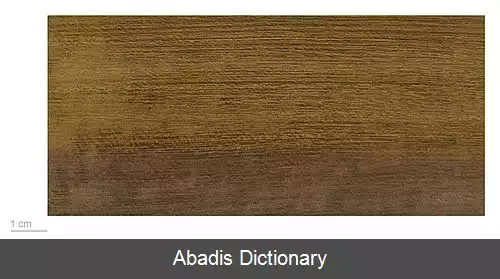 عکس چوب ارغوانی