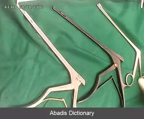 عکس کریسون پانچ