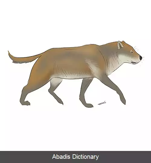 عکس سگ تباریان استخوان شکن
