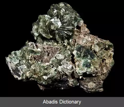 عکس زینوالدیت