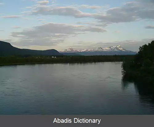 عکس مولسلوا