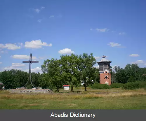عکس ریستی استونی