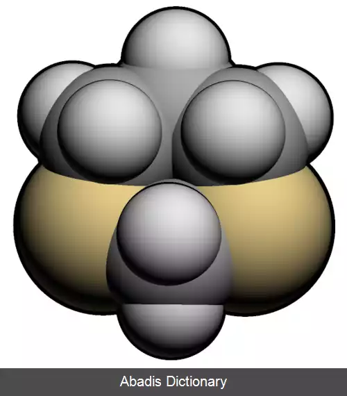 عکس دی تیان