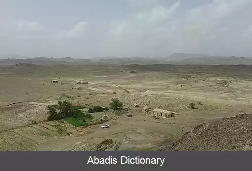 عکس بیدکبکان