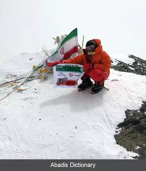 عکس چیتبال