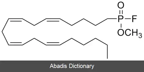 عکس متوکسی آراچیدونیل فلوروفسفونات
