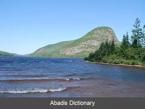 عکس فرلاند ا بوآلو کبک