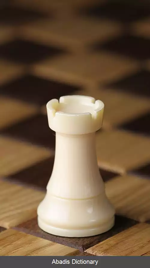 عکس رخ (شطرنج)