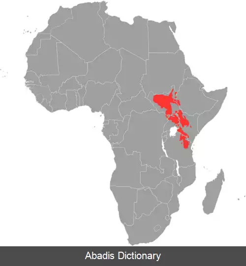 عکس زبان های نیلی