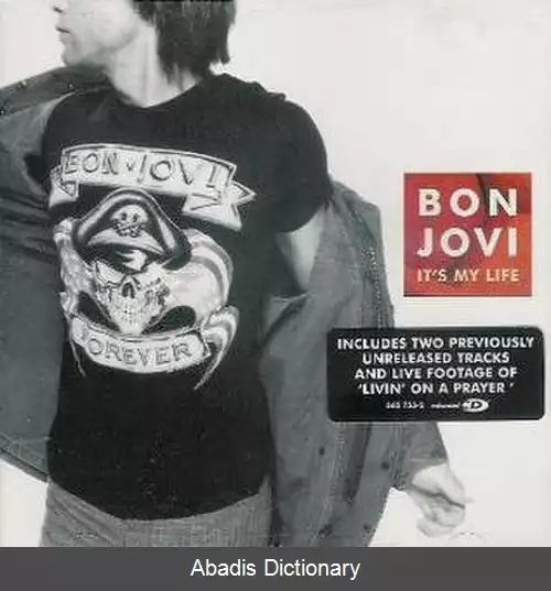 عکس زندگی خودم است (ترانه بون جووی)