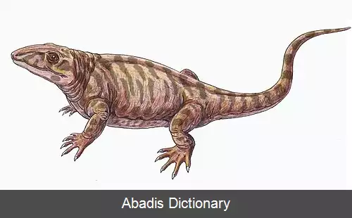 عکس بزمجه چهرگان