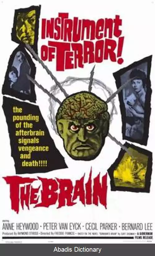 عکس مغز (فیلم ۱۹۶۲)