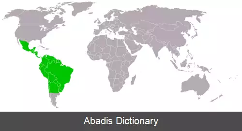 عکس خفاش خون آشام معمولی