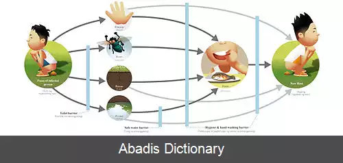 عکس مسیر مدفوعی دهانی