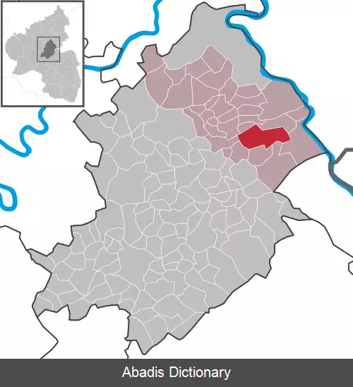 عکس دامشاید