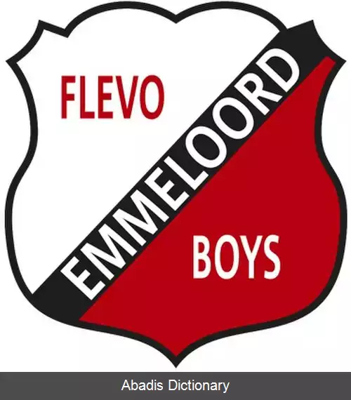 عکس فلیوو بویز