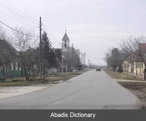 عکس ویلووو (تیتل)