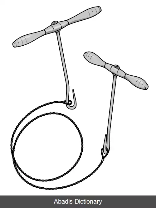 عکس اره گیگلی