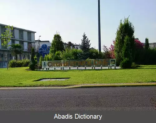 عکس بوولونه