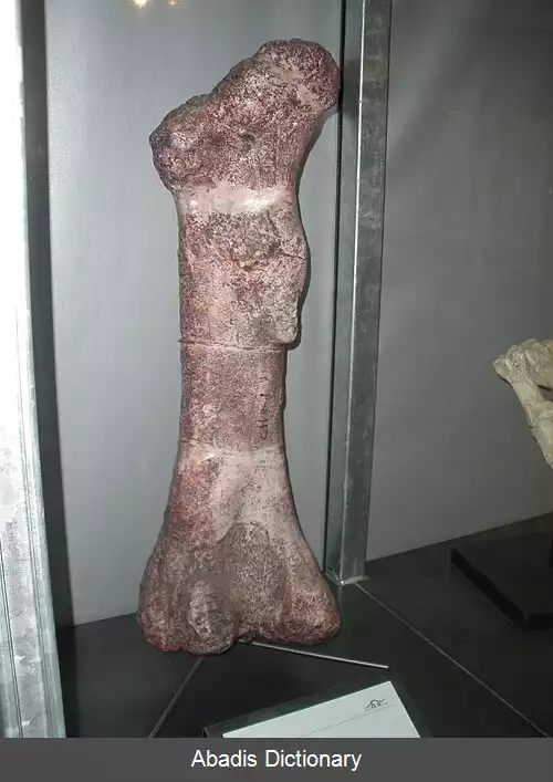 عکس ایسانوسور