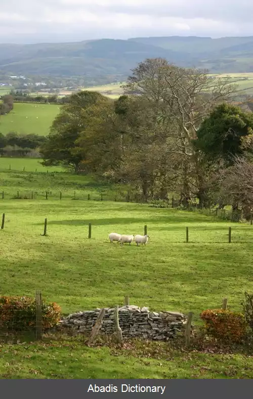 عکس استراید میرگ