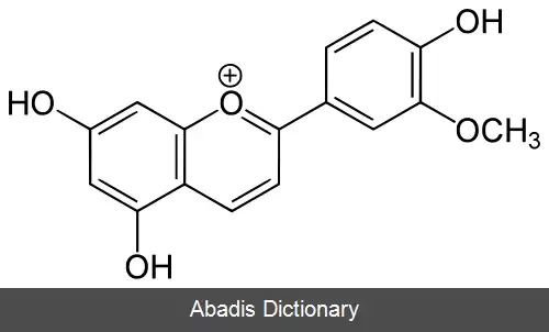 عکس دی اوسمتینیدین