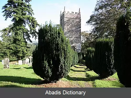 عکس استاکلی انگلیش