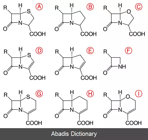 عکس فهرست آنتی بیوتیک های بتا لاکتام