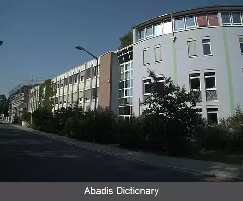 عکس بیونوریکا