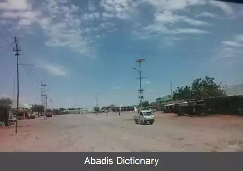 عکس طوس مریب