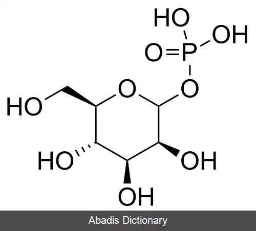 عکس مانوز ۱ فسفات
