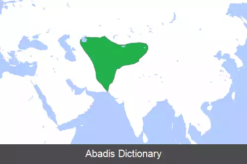 عکس دین در دوران ساسانی