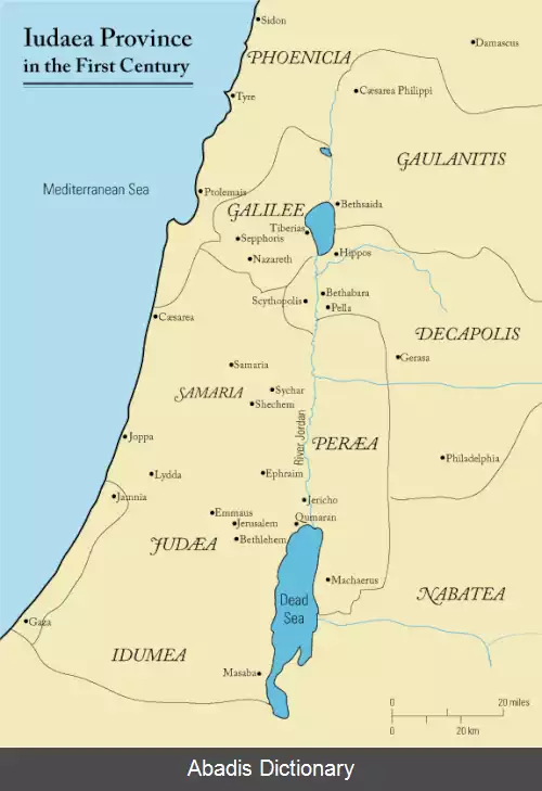 عکس ونتیدیوس کومانوس