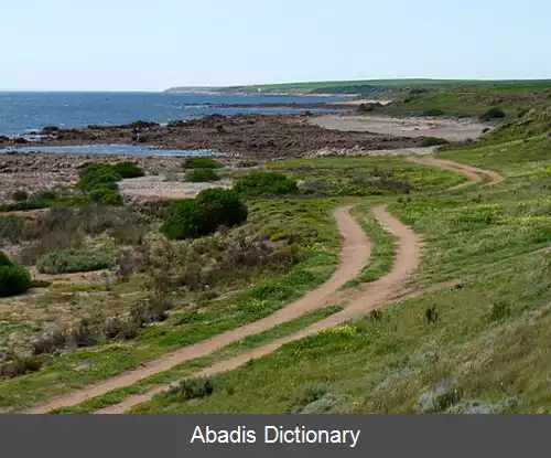 عکس تیکرا استرالیای جنوبی