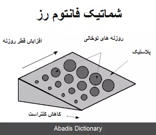عکس معیار رز