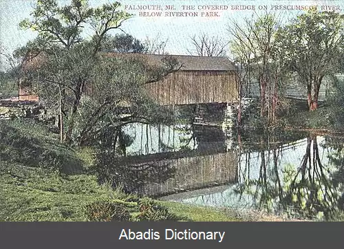 عکس فلمت مین