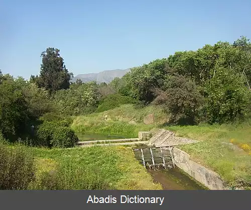 عکس آپوکیندو