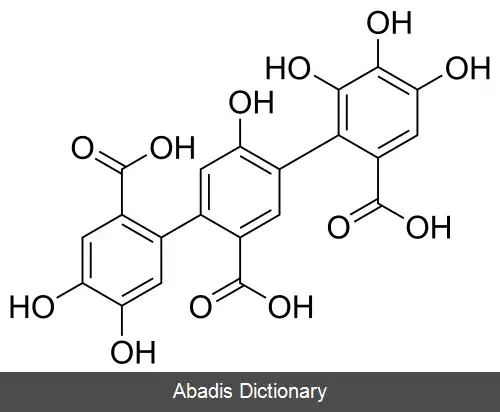 عکس فلاووگالونیک اسید