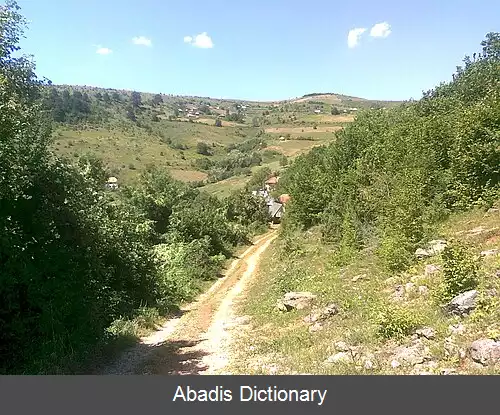 عکس بیسکوپیچی