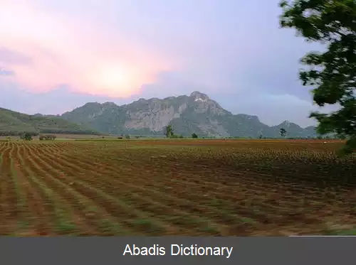 عکس استان سا کایو